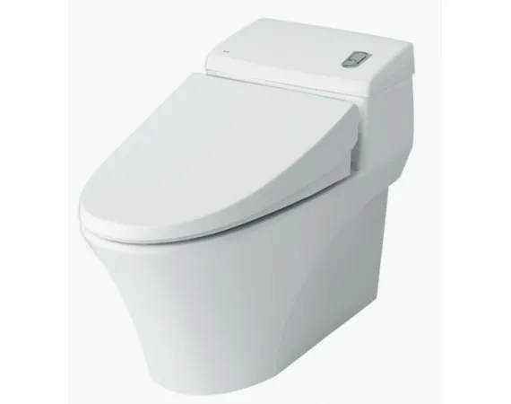 Bàn cầu 1 khối AC-1008VRN