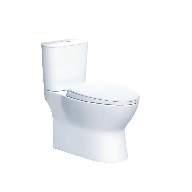 Bàn Cầu Hai Khối  Caesar CD1320