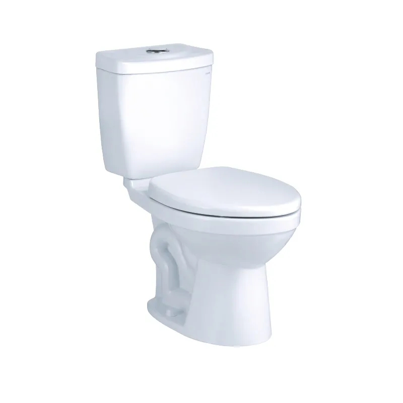 Bàn Cầu Hai Khối Caesar CTS1325 - nắp rơi êm