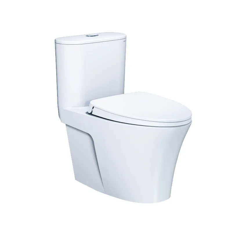 Bàn Cầu Một Khối Caesar C1395