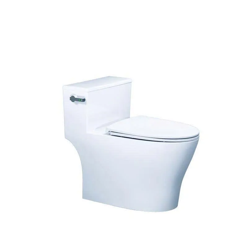 Bàn Cầu Một Khối Nắp Êm CAESAR S1393
