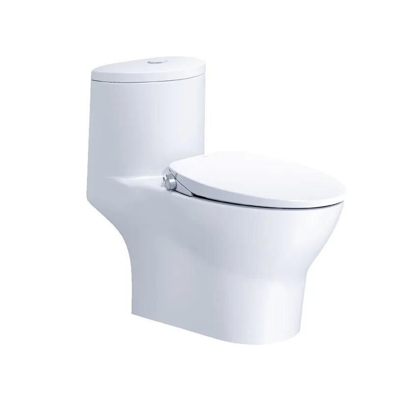 Bồn cầu nắp rửa lạnh Caesar