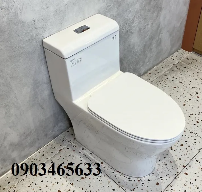 Bồn cầu 1 khối Viglacera V45M