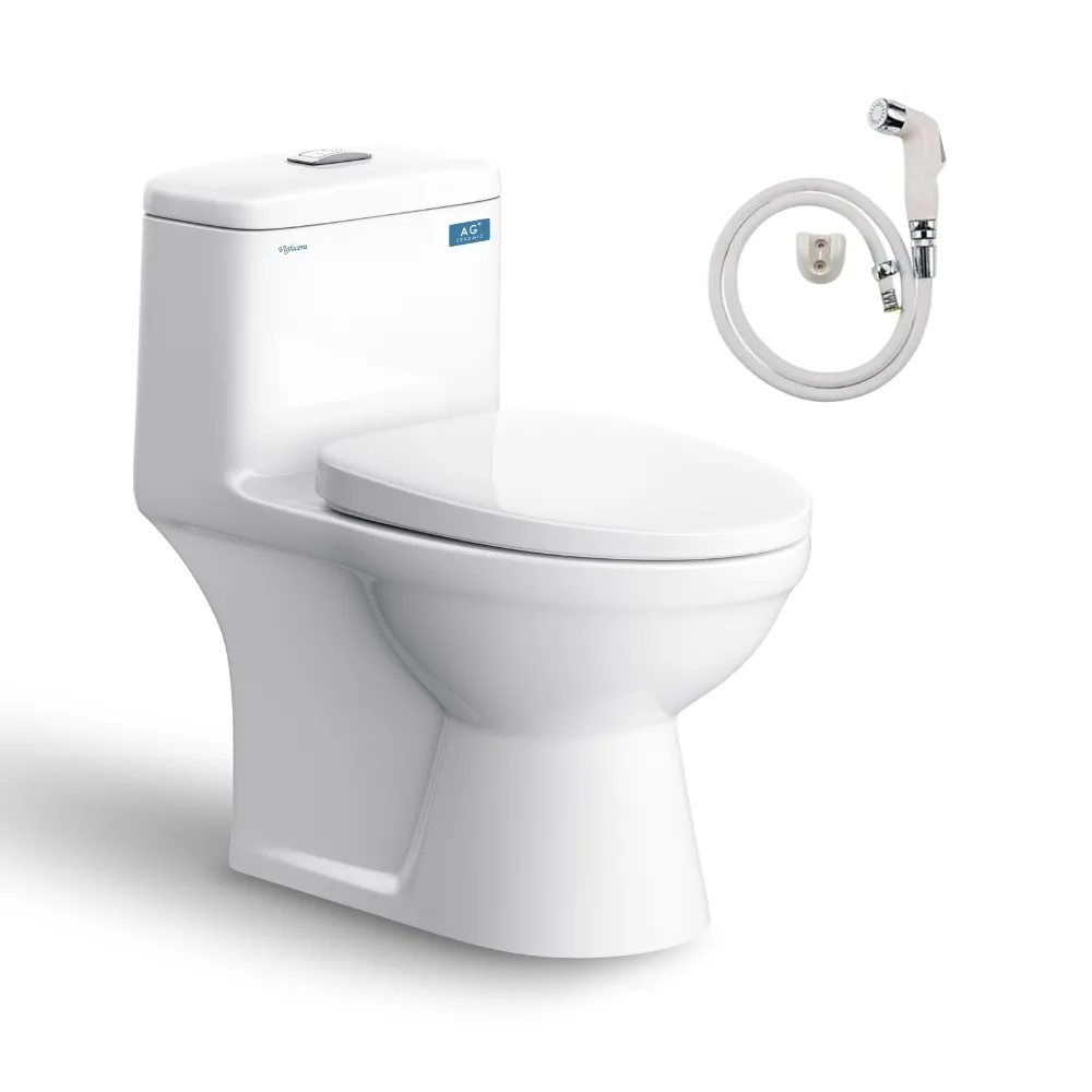 Bồn cầu 1 khối Viglacera BL5