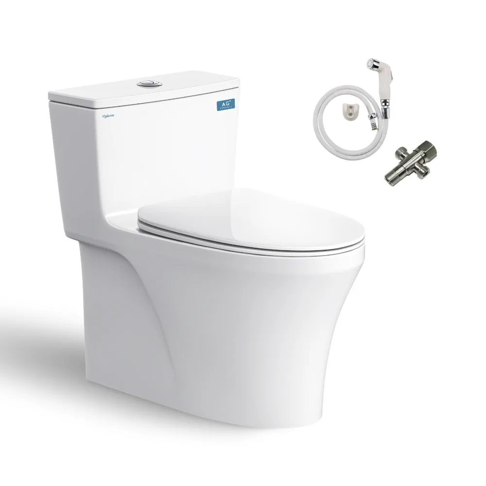 Bồn cầu 1 khối Viglacera HL2