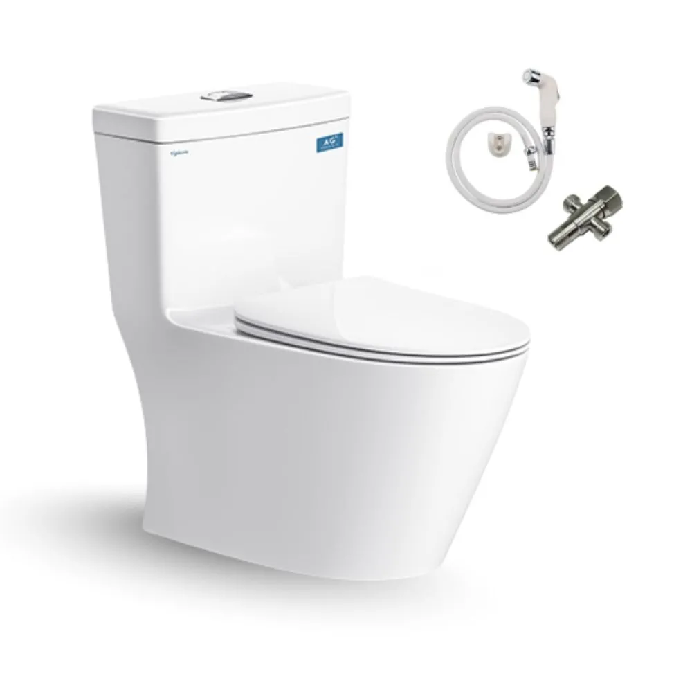 Bồn cầu 1 khối Viglacera  V62 