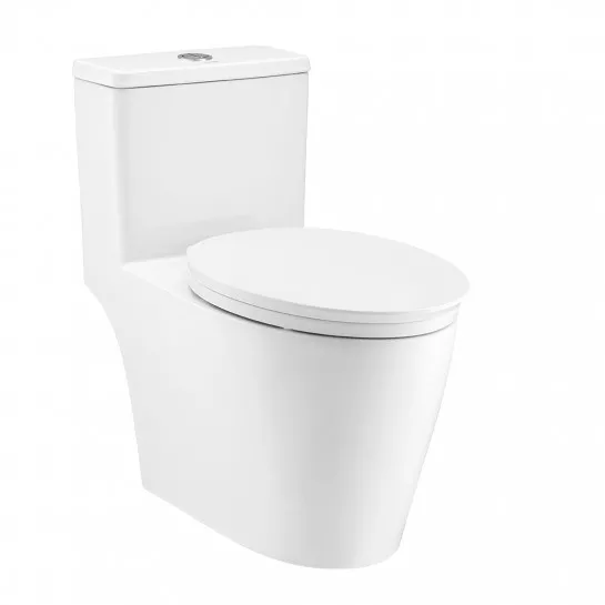 Bồn cầu 1 khối COTTO C110507 