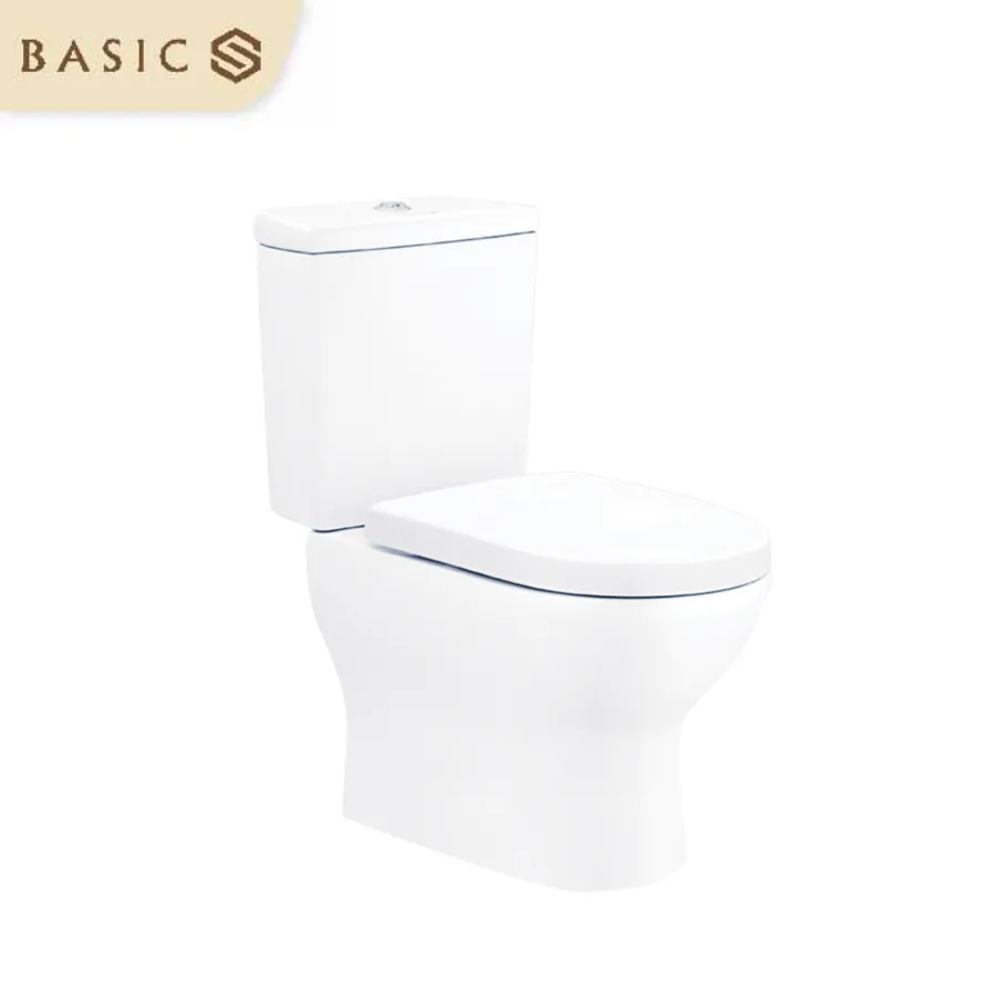 Bồn cầu dành cho tầng hầm BS-303-P