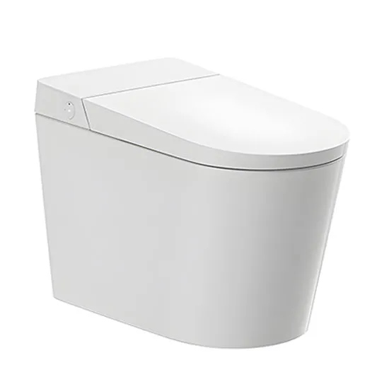 Bồn cầu thông minh Hanjin HJ-3301U-5