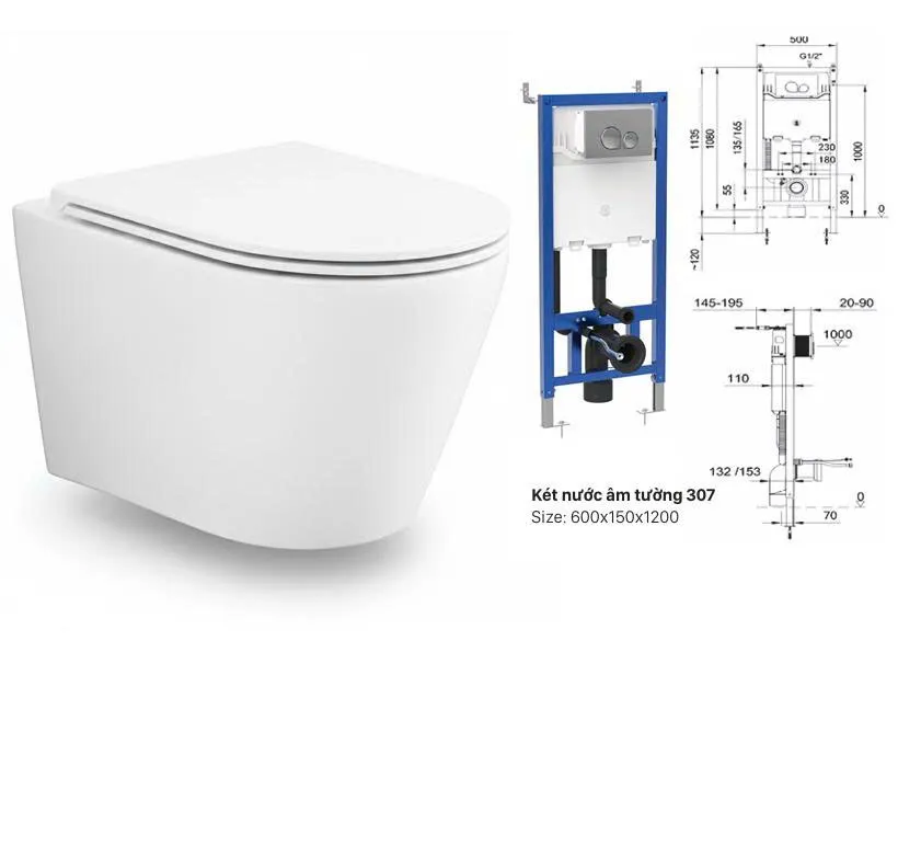 Bồn cầu liền khối Bancoot TS306