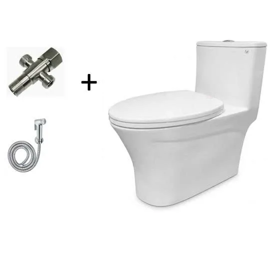 Bồn cầu liền khối Bancoot TS39B-1