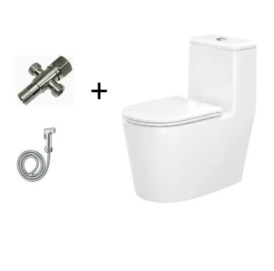 Bồn cầu liền khối Bancoot TS82