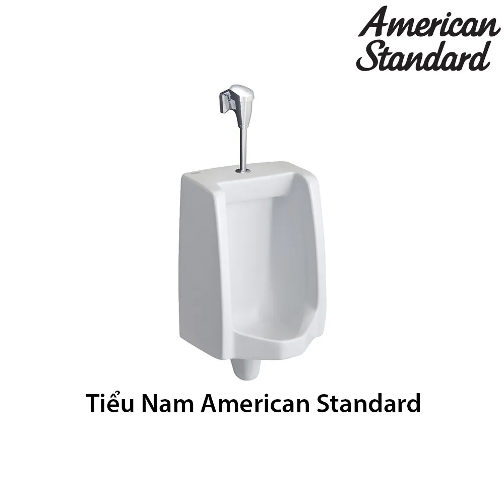 Tiểu nam American