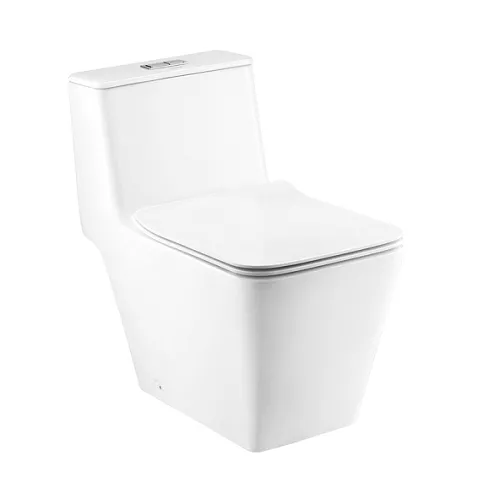 Bồn cầu một khối COTTO C10327