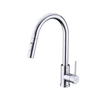 Vòi bếp Hafele HT21-CH1P287