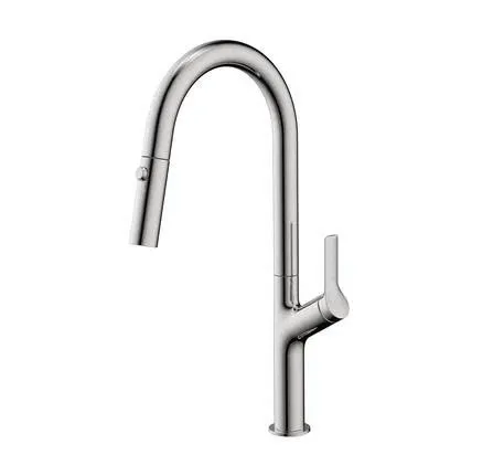 Vòi bếp Hafele LUX-P HT25-SH1F449
