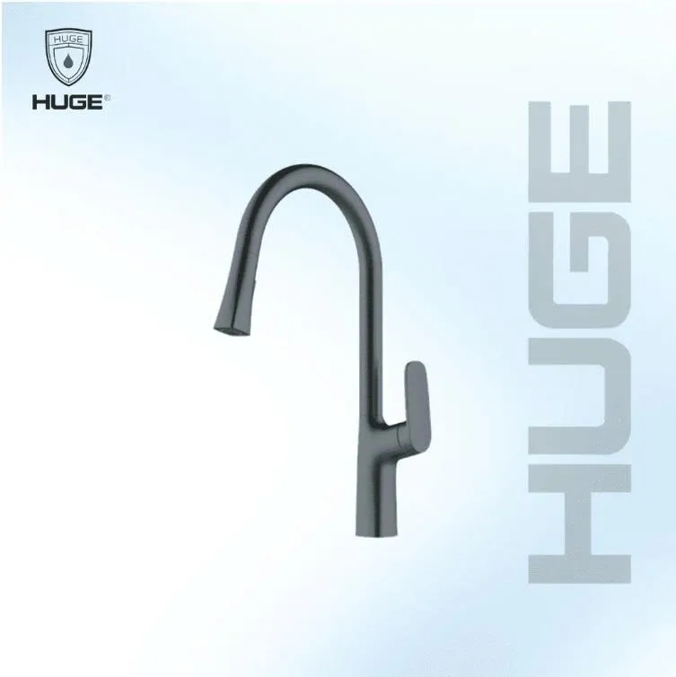 VÒI RỬA BÁT HUGE H-V2811PM