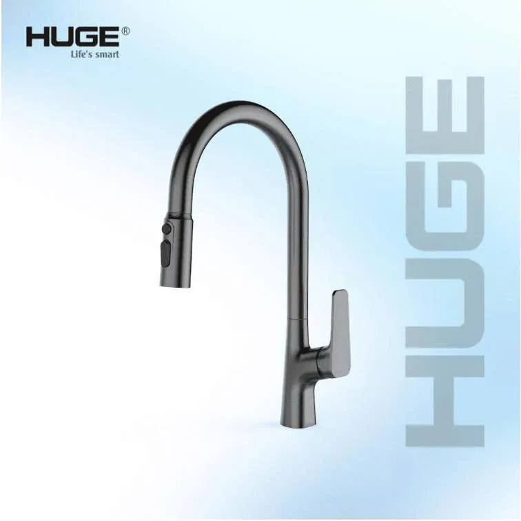 VÒI RỬA BÁT HUGE H-V2411PM