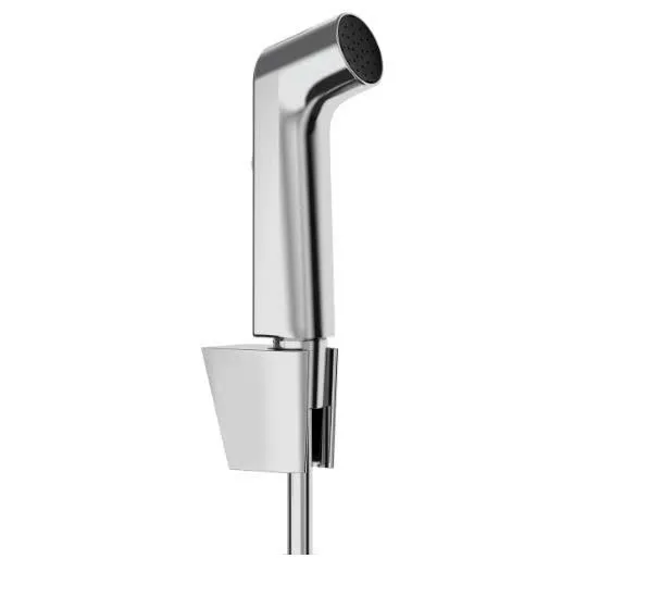 Vòi xịt vệ sinh Hansgrohe 29238000