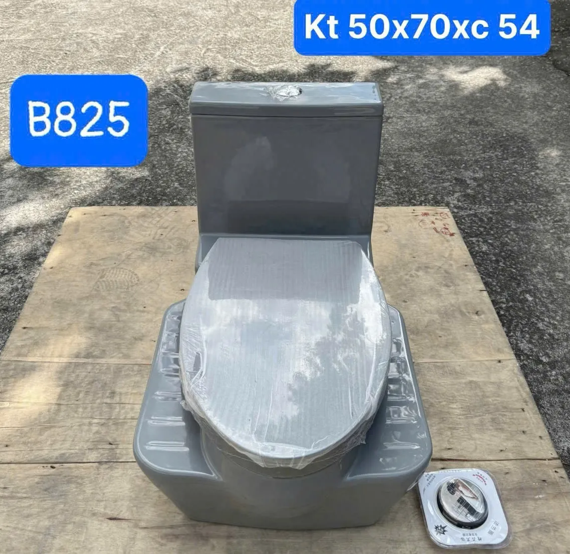 Bồn cầu liền xổm màu ghi 825