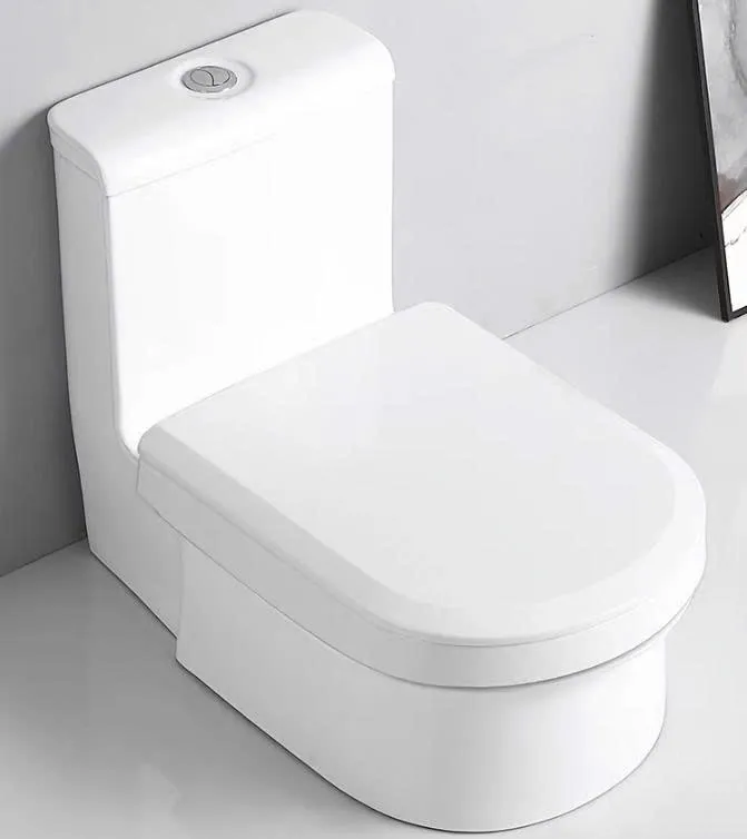 Bàn cầu xổm sứ 02